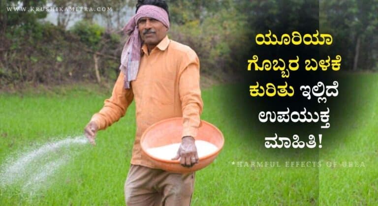 Urea Usage-ಯೂರಿಯಾ ಬಳಕೆ ಮಾಡುವವರು ತಪ್ಪದೇ ಈ ಮಾಹಿತಿ ತಿಳಿಯಿರಿ!