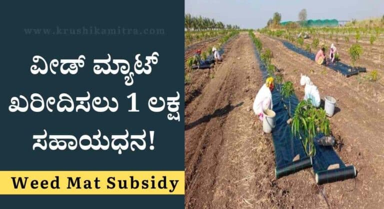 Weed Mat Subsidy-ತೋಟಗಾರಿಕೆ ಇಲಾಖೆಯಿಂದ ವೀಡ್ ಮ್ಯಾಟ್ ಖರೀದಿಸಲು 1 ಲಕ್ಷ ಸಹಾಯಧನ!