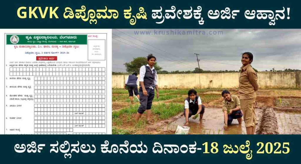 GKVK Diploma Agriculture-ಬೆಂಗಳೂರು ಕೃಷಿ ವಿವಿಯಿಂದ ಡಿಪ್ಲೊಮಾ ಕೃಷಿ ಪ್ರವೇಶಕ್ಕೆ ಅರ್ಜಿ ಆಹ್ವಾನ!