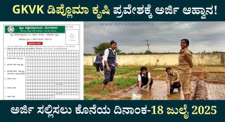 GKVK Diploma Agriculture-ಬೆಂಗಳೂರು ಕೃಷಿ ವಿವಿಯಿಂದ ಡಿಪ್ಲೊಮಾ ಕೃಷಿ ಪ್ರವೇಶಕ್ಕೆ ಅರ್ಜಿ ಆಹ್ವಾನ!