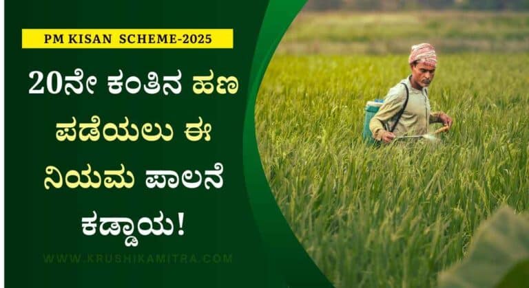 PM Kisan Updates-ಪಿಎಂ ಕಿಸಾನ್ 20ನೇ ಕಂತಿನ ಹಣ ಪಡೆಯಲು ಈ ಕೆಲಸ ಮಾಡುವುದು ಕಡ್ಡಾಯ!
