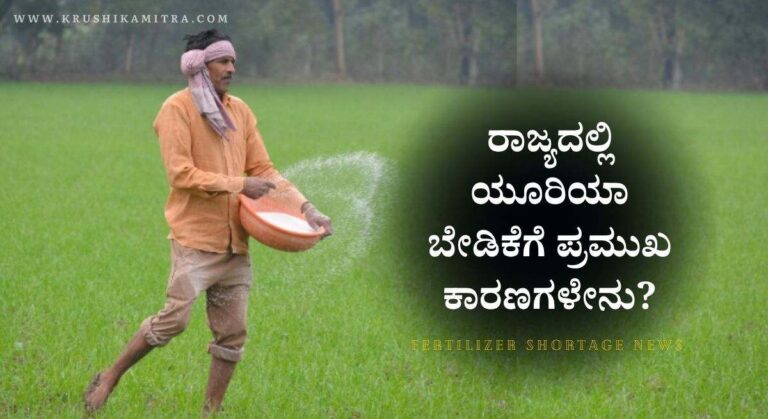 Fertilizer Shortage-ರಾಜ್ಯದಲ್ಲಿ ರಸಗೊಬ್ಬರ ಕೊರತೆ ಕೃಷಿ ಇಲಾಖೆಯಿಂದ ನೂತನ ಪ್ರಕಟಣೆ!