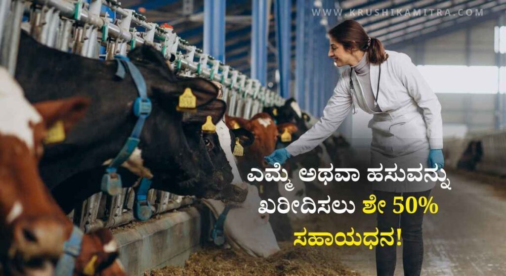 Dairy Farm Subsidy-ಹೈನುಗಾರಿಕೆ ಆರಂಭಿಸಲು ₹1.25 ಲಕ್ಷ ಸಬ್ಸಿಡಿ ಪಡೆಯಲು ಅರ್ಜಿ ಆಹ್ವಾನ!