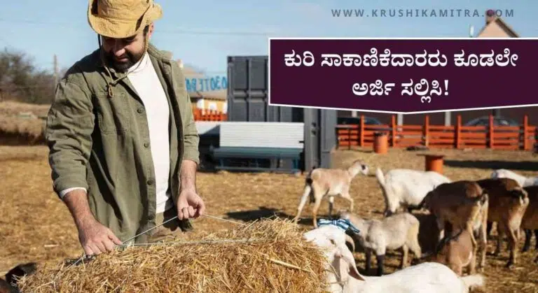 Kuri Sakanike Subsidy-ಕುರಿ ಸಾಕಾಣಿಕೆಗೆ ₹50,000 ಸಬ್ಸಿಡಿ ಪಡೆಯಲು ನಿಗಮಗಳಿಂದ ಅರ್ಜಿ ಆಹ್ವಾನ!