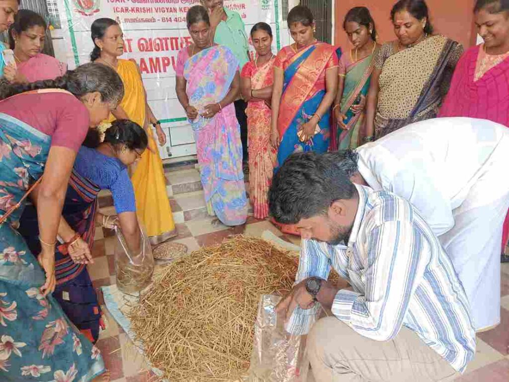 Free Mushroom Training