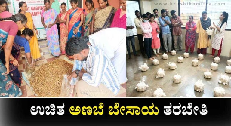 Free Mushroom Training-ಉಚಿತ ಅಣಬೆ ಬೇಸಾಯ ತರಬೇತಿ ಈಗಲೇ ಅರ್ಜಿ ಸಲ್ಲಿಸಿ!