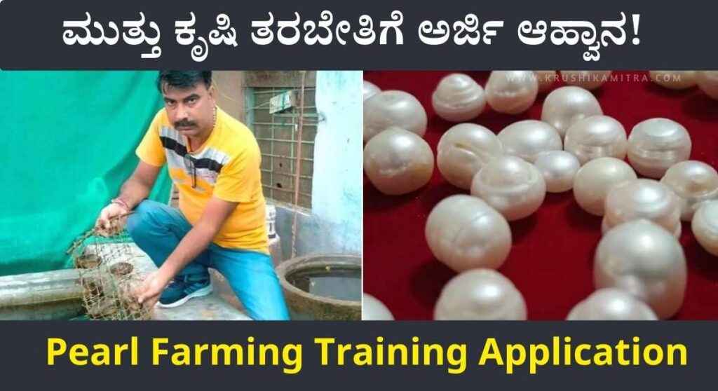 Pearl Farming-ಕೃಷಿ ವಿಶ್ವವಿದ್ಯಾಲಯದಿಂದ ಮುತ್ತು ಕೃಷಿ ತರಬೇತಿಗೆ ಅರ್ಜಿ ಆಹ್ವಾನ!