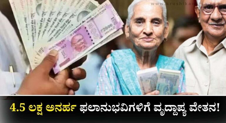 Pension Scheme-ರಾಜ್ಯದಲ್ಲಿ 4.5 ಲಕ್ಷ ಅನರ್ಹ ಫಲಾನುಭವಿಗಳಿಗೆ ವೃದ್ದಾಪ್ಯ ವೇತನ! ಶೀಘ್ರದಲ್ಲೇ ಬಂದ್ ಅಗಲಿದೆ ಪಿಂಚಣಿ!
