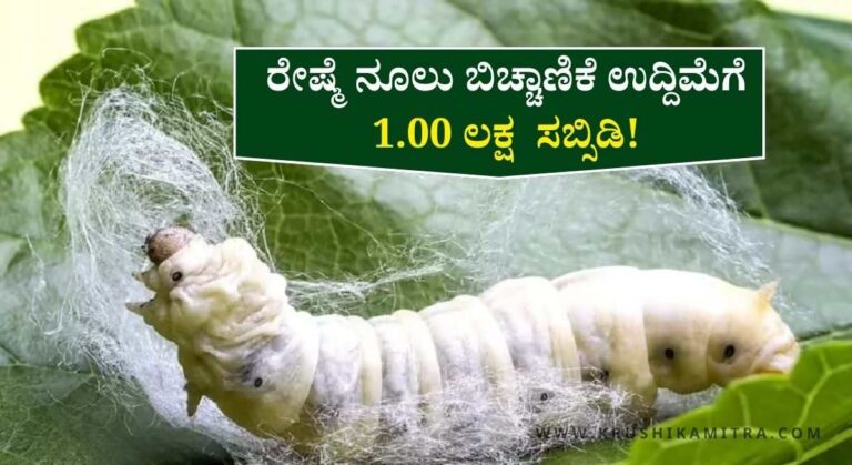 Reshme Krishi Subsidy-ರೇಷ್ಮೆ ನೂಲು ಬಿಚ್ಚಾಣಿಕೆ ಉದ್ದಿಮೆಗೆ 1.00 ಲಕ್ಷ ಸಹಾಯಧನ ಪಡೆಯಲು ಅರ್ಜಿ ಆಹ್ವಾನ!