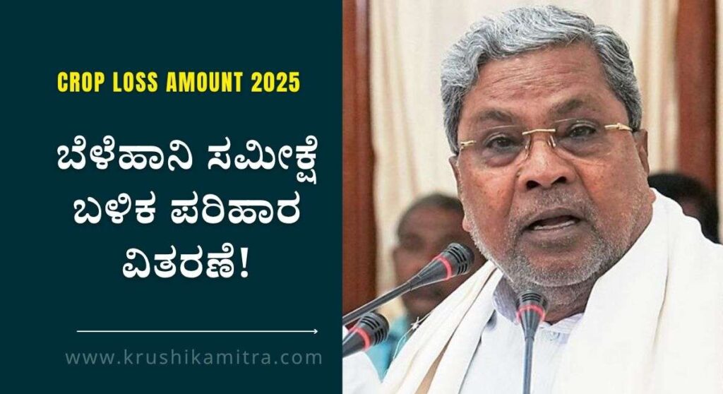 Crop Loss Amount-ಬೆಳೆಹಾನಿ ಸಮೀಕ್ಷೆ ಬಳಿಕ ಪರಿಹಾರ ವಿತರಣೆ ಎಕರೆಗೆ ರೂ 17,000/- ಪರಿಹಾರ: ಮುಖ್ಯಮಂತ್ರಿ ಸಿದ್ದರಾಮಯ್ಯ!