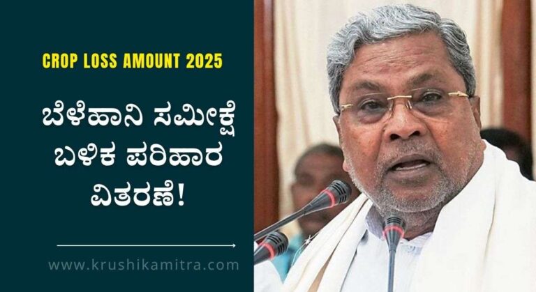 Crop Loss Amount-ಬೆಳೆಹಾನಿ ಸಮೀಕ್ಷೆ ಬಳಿಕ ಪರಿಹಾರ ವಿತರಣೆ ಎಕರೆಗೆ ರೂ 17,000/- ಪರಿಹಾರ: ಮುಖ್ಯಮಂತ್ರಿ ಸಿದ್ದರಾಮಯ್ಯ!