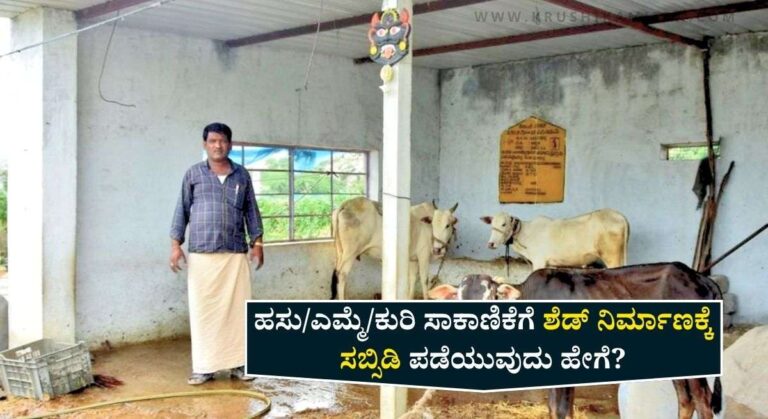 Dairy Shed Subsidy-ಹೈನುಗಾರಿಕೆ ಶೆಡ್ ನಿರ್ಮಾಣಕ್ಕೆ ನರೇಗಾ ಯೋಜನೆಯಡಿ ರೂ 57,000/- ಸಹಾಯಧನ!