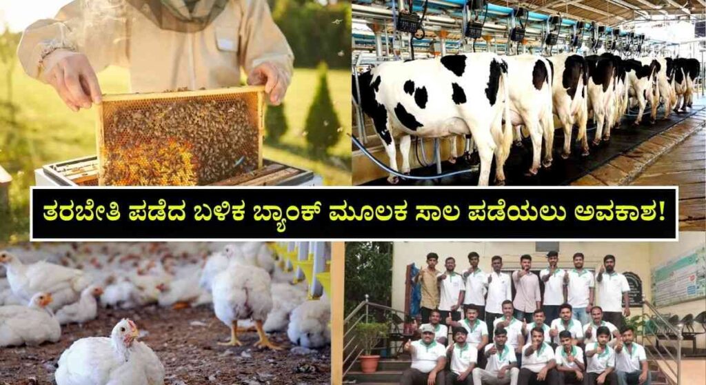 Free Poultry Farm Training-12 ದಿನದ ಉಚಿತ ಕೋಳಿ ಮತ್ತು ಜೇನು ಸಾಕಾಣಿಕೆ ಹೈನುಗಾರಿಕೆ ತರಬೇತಿ!