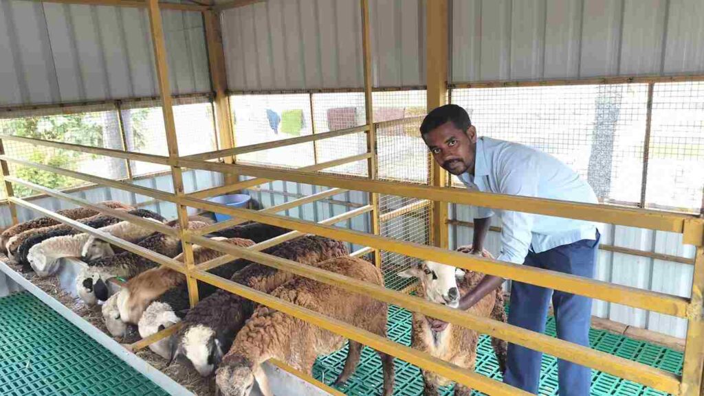 Kuri Sakanike Tarabeti