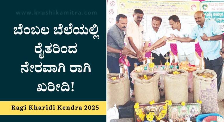 Ragi Kharidi Kendra 2025-ಬೆಂಬಲ ಬೆಲೆಯಲ್ಲಿ ರಾಗಿ ಖರೀದಿಗೆ ನೋಂದಣಿ ಆರಂಭ! ಪ್ರತಿ ಕ್ವಿಂಟಾಲ್ ಗೆ 4886/- ರೂ ನಿಗದಿ!