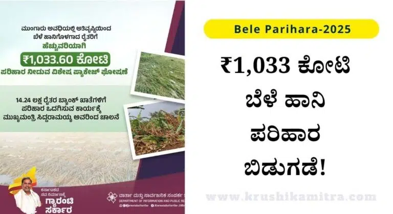 Bele Parihara-2025: ರೈತರ ಖಾತೆಗೆ ₹1,033 ಕೋಟಿ ಬೆಳೆ ಹಾನಿ ಪರಿಹಾರ ಬಿಡುಗಡೆ!