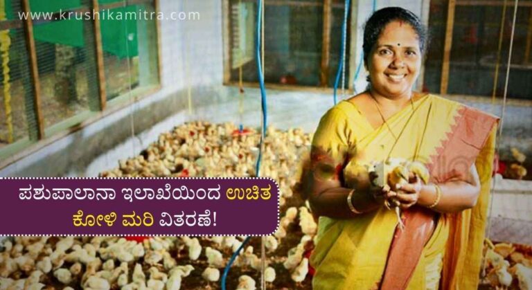Poultry Scheme-ಉಚಿತ ಕೋಳಿ ಮರಿ ವಿತರಣೆಗೆ ಅರ್ಜಿ ಆಹ್ವಾನ!