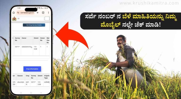 Crop Details-2025 ನೇ ಸಾಲಿನ ರೈತರ ಜಮೀನ ಬೆಳೆ ಸಮೀಕ್ಷೆ ವರದಿ ಬಿಡುಗಡೆ! ಇಲ್ಲಿದೆ ಪಹಣಿಯ ಬೆಳೆ ಮಾಹಿತಿ!