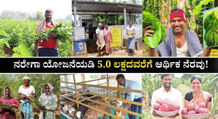 Narega Scheme Subsidy-ನರೇಗಾ ಯೋಜನೆಯಡಿ 5.0 ಲಕ್ಷದವರೆಗೆ ಆರ್ಥಿಕ ನೆರವು! ಇಲ್ಲಿದೆ ಸಂಪೂರ್ಣ ಮಾಹಿತಿ!