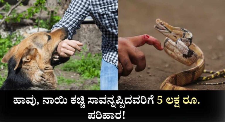 Free Treatment-ನಾಯಿ, ಹಾವು ಕಡಿತಕ್ಕೆ ತಕ್ಷಣ ಉಚಿತ ಚಿಕಿತ್ಸೆ ಕಡ್ಡಾಯ ಸುಪ್ರೀಂ ಕೋರ್ಟ್ ಆದೇಶ!
