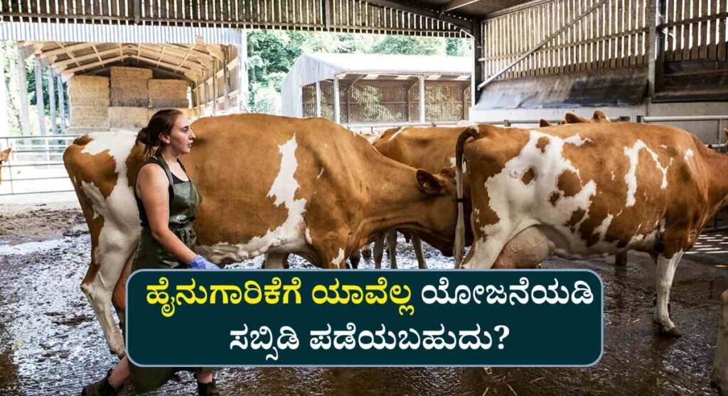 Dairy Equipment Subsidy-ಹಸು ಸಾಕಾಣಿಕೆಗೆ ಪೂರಕ ಯಂತ್ರ ಮತ್ತು ಕೊಟ್ಟಿ ನಿರ್ಮಾಣಕ್ಕೆ ಸಬ್ಸಿಡಿ ಪಡೆಯುವುದು ಹೇಗೆ?