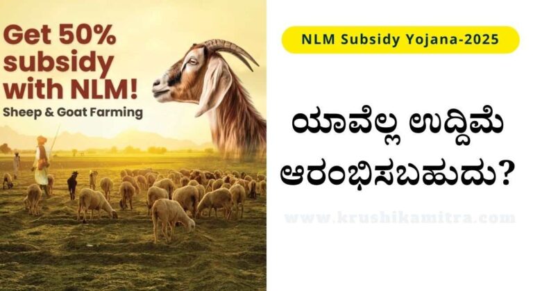 NLM Subsidy Yojana-NLM ಯೋಜನೆಯಡಿ ಶೇ 50% ಸಬ್ಸಿಡಿಯಲ್ಲಿ ಉದ್ದಿಮೆ ಪ್ರಾರಂಭಿಸಲು ಅವಕಾಶ!