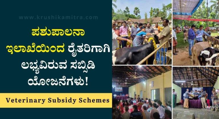 Veterinary Subsidy Schemes-ಪಶುಪಾಲನಾ ಇಲಾಖೆಯಿಂದ ರೈತರಿಗಾಗಿ ಲಭ್ಯವಿರುವ ಸಬ್ಸಿಡಿ ಯೋಜನೆಗಳಾವುವು?