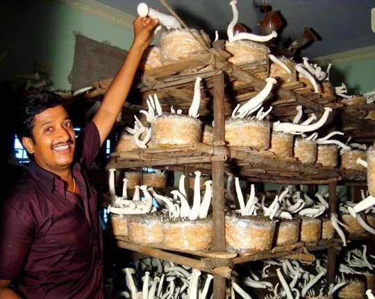 Anabe Krishi Subsidy