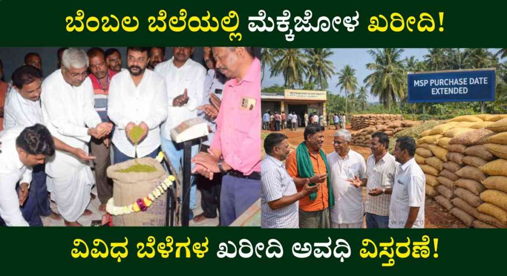 Bembala Bele-ಬೆಂಬಲ ಬೆಲೆ ಯೋಜನೆಯಲ್ಲಿ ವಿವಿಧ ಬೆಳೆಗಳ ಖರೀದಿ ಅವಧಿ ವಿಸ್ತರಣೆ!