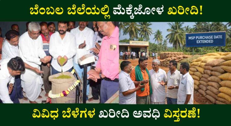 Bembala Bele-ಬೆಂಬಲ ಬೆಲೆ ಯೋಜನೆಯಲ್ಲಿ ವಿವಿಧ ಬೆಳೆಗಳ ಖರೀದಿ ಅವಧಿ ವಿಸ್ತರಣೆ!