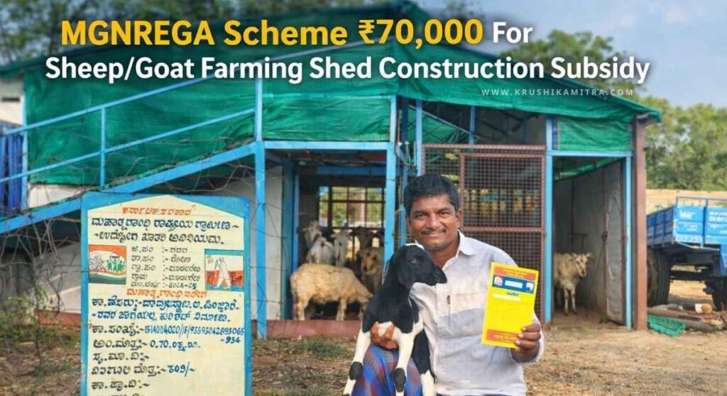 Kuri Shed Subsidy-ನರೇಗಾ ಯೋಜನೆಯಡಿ ಕುರಿ ಶೆಡ್ ನಿರ್ಮಾಣಕ್ಕೆ ರೂ 70,000 ಪಡೆಯುವುದು ಹೇಗೆ!