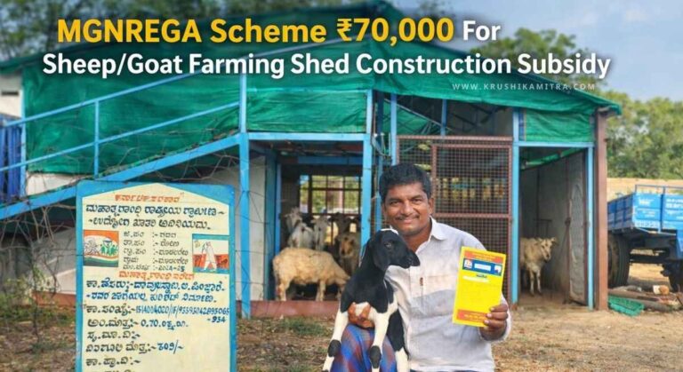 Kuri Shed Subsidy-ನರೇಗಾ ಯೋಜನೆಯಡಿ ಕುರಿ ಶೆಡ್ ನಿರ್ಮಾಣಕ್ಕೆ ರೂ 70,000 ಪಡೆಯುವುದು ಹೇಗೆ!