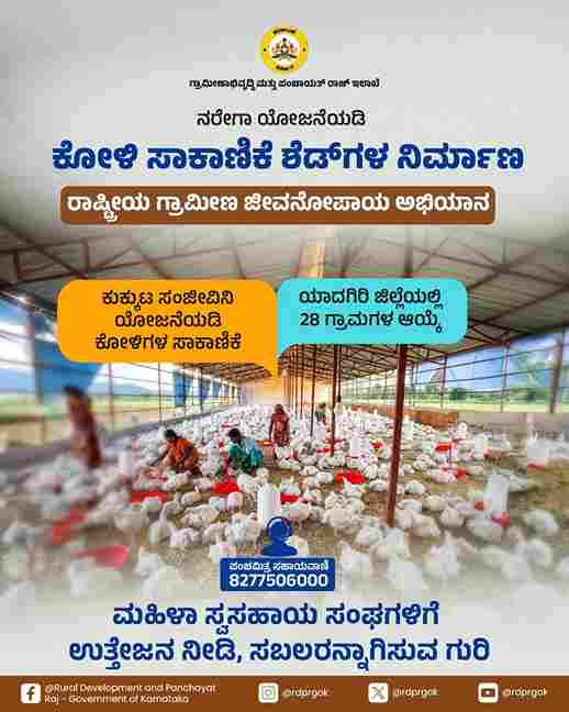 free poulrty training