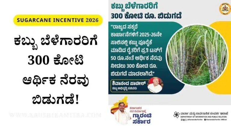 Sugarcane Incentive-ಕಬ್ಬು ಬೆಳೆಗಾರರಿಗೆ 300 ಕೋಟಿ ಆರ್ಥಿಕ ನೆರವು ಬಿಡುಗಡೆ: ಸಚಿವ ಶಿವಾನಂದ ಪಾಟೀಲ್!
