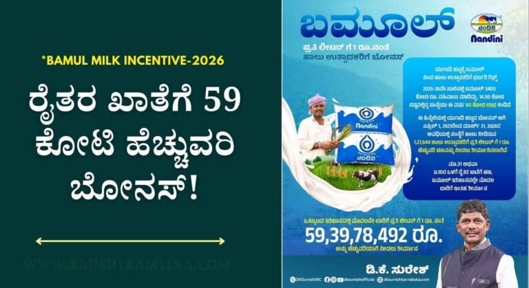 Milk incentive-ಬಮೂಲ್ ನಿಂದ ಹಾಲು ಉತ್ಪಾದಕರಿಗೆ 59 ಕೋಟಿ ಹೆಚ್ಚುವರಿ ಸಹಾಯಧನ ಬಿಡುಗಡೆ!