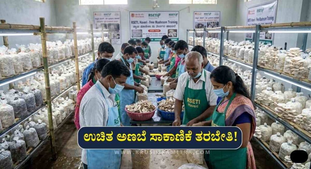 Free Mushroom Training-ಉಚಿತ ಅಣಬೆ ಸಾಕಾಣಿಕೆ ತರಬೇತಿಗಾಗಿ ಅರ್ಜಿ ಆಹ್ವಾನ!