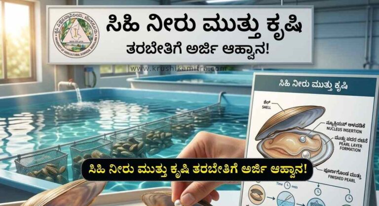 Pearl farming-ಸಿಹಿ ನೀರು ಮುತ್ತು ಕೃಷಿ ತರಬೇತಿ: ನಿರುದ್ಯೋಗಿ ಯುವಕರಿಗೆ ಸುವರ್ಣ ಅವಕಾಶ!