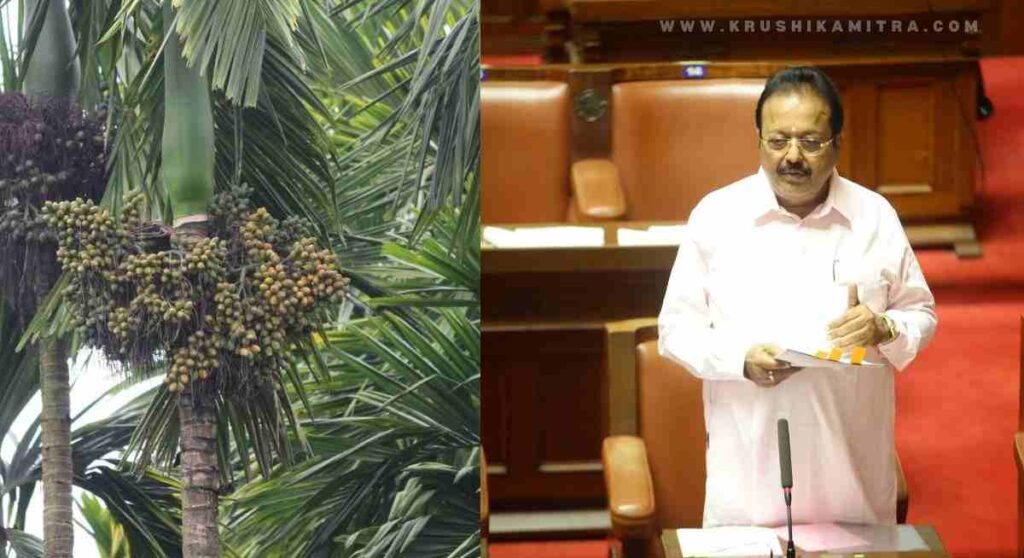 M.S. Ramaiah University arecanut study