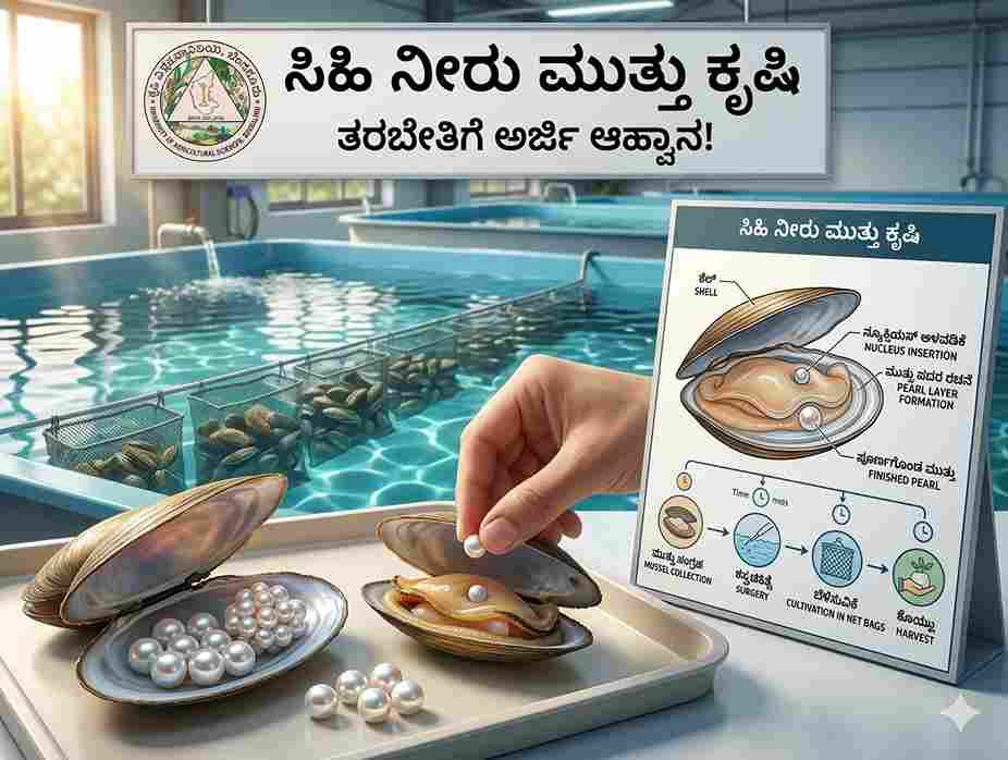 Pearl Farming Training