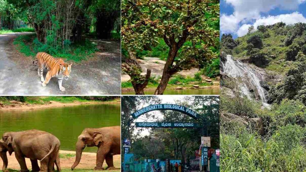 Bannerghatta Trip-ಕೆ.ಎಸ್.ಟಿ.ಡಿ.ಸಿ ಯಿಂದ ಬನ್ನೇರುಘಟ್ಟ ಪ್ರವಾಸಕ್ಕೆ ವಿಶೇಷ ಪ್ಯಾಕೇಜ್ ಬಿಡುಗಡೆ!