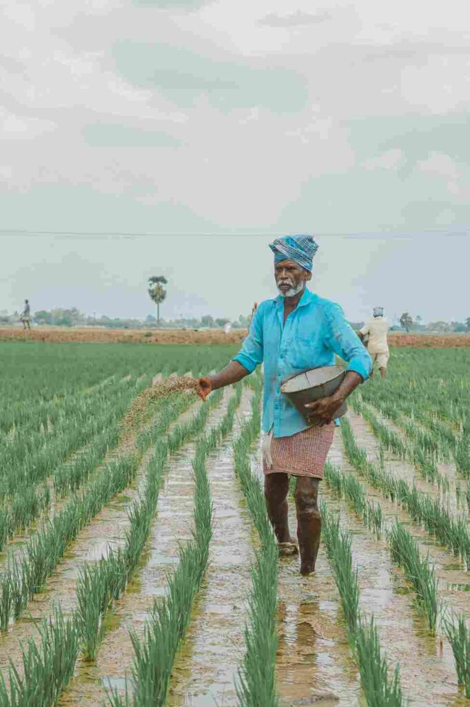 Fertilizer Price