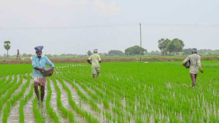 Fertilizer Price-ರಸಗೊಬ್ಬರ ಪರಿಷ್ಕೃತ ದರಪಟ್ಟಿ ಬಿಡುಗಡೆ! ಪೋಟ್ಯಾಶ್ ಸೇರಿ ಇನ್ನಿತರೆ ಗೊಬ್ಬರ ದರ ಏರಿಕೆ!