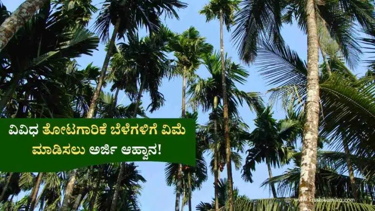 Horticulture Crop Insurance-ಅಡಿಕೆ ಸೇರಿದಂತೆ ವಿವಿಧ ತೋಟಗಾರಿಕೆ ಬೆಳೆಗಳಿಗೆ ಬೆಳೆ ವಿಮೆಗೆ ಅರ್ಜಿ ಆಹ್ವಾನ!