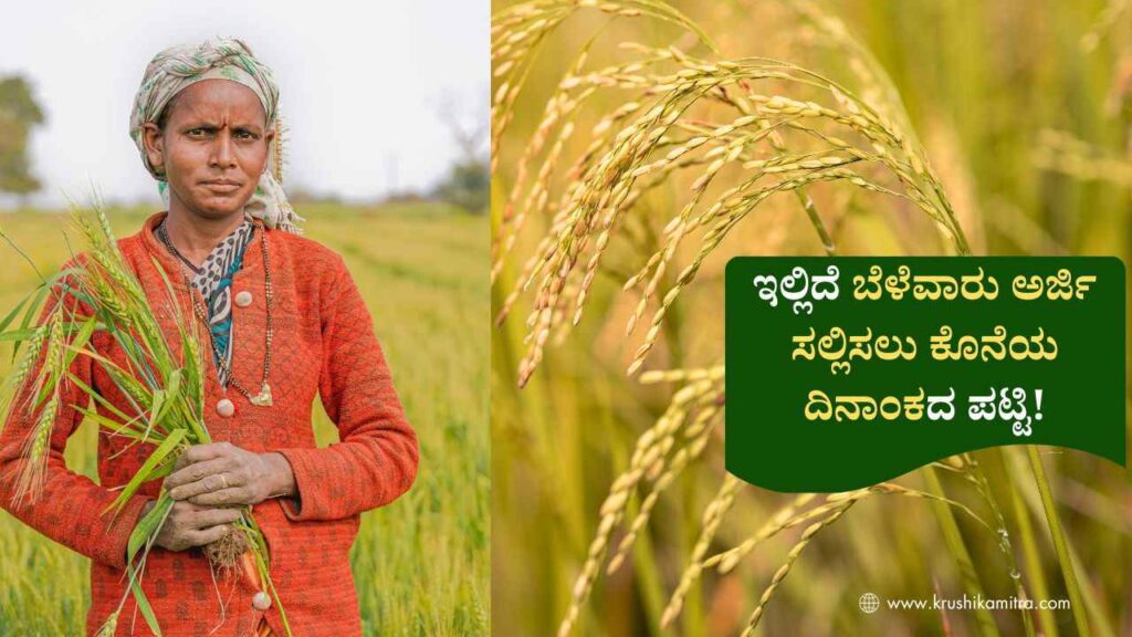 Bele Vime-2026: ವಿವಿಧ ಬೆಳೆಗಳಿಗೆ ಬೆಳೆ ವಿಮೆ ಮಾಡಿಸಲು ಅರ್ಜಿ ಆಹ್ವಾನ! ಇಲ್ಲಿದೆ ಅಗತ್ಯ ಮಾಹಿತಿ!