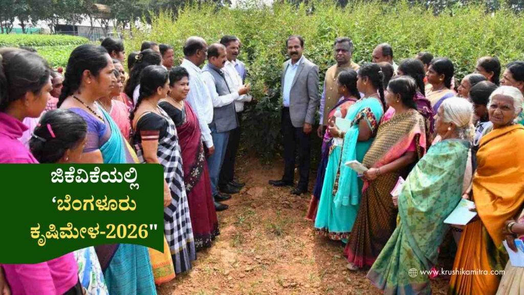 GKVK Krishi Mele-2026: ಅಕ್ಟೋಬರ್ 15 ರಿಂದ 18 ರ ವರೆಗೆ ಜಿಕೆವಿಕೆಯಲ್ಲಿ ‘ಬೆಂಗಳೂರು ಕೃಷಿಮೇಳ-2026′