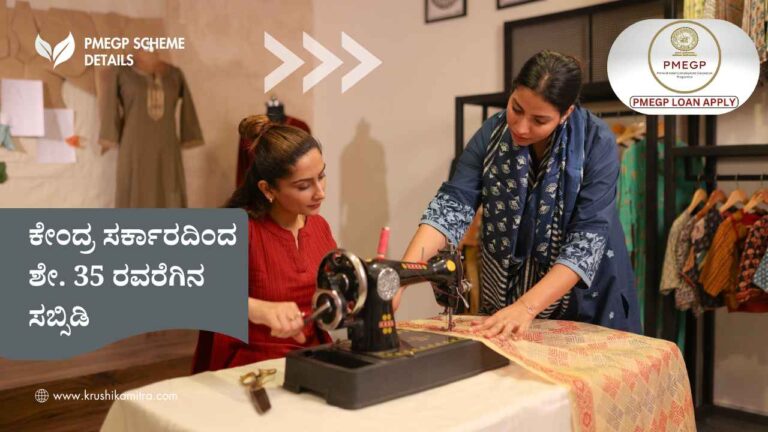PMEGP ಯೋಜನೆಯಡಿ ಸ್ವಂತ ಉದ್ಯೋಗಕ್ಕೆ ಸಿಗಲಿದೆ ಭರ್ಜರಿ ಸಬ್ಸಿಡಿ ಸಾಲ: ಯಾರೆಲ್ಲ ಅರ್ಜಿ ಸಲ್ಲಿಸಬಹುದು?