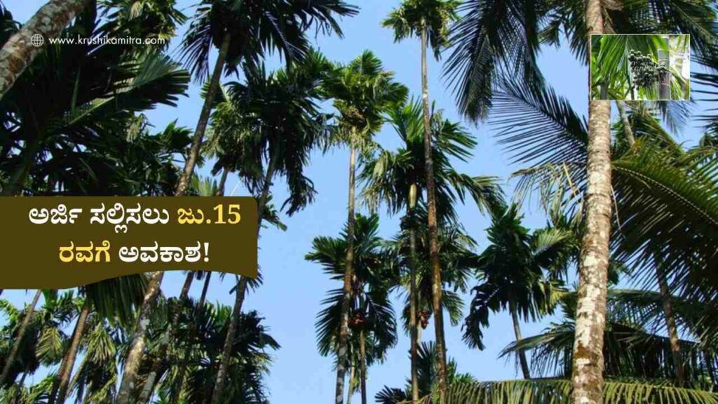 Adike Bele Vime-ಅಡಿಕೆ ಸೇರಿ ವಿವಿಧ ಬೆಳೆಗಳಿಗೆ ವಿಮೆ ಅರ್ಜಿ ಸಲ್ಲಿಸಲು ಕೊನೆಯ ದಿನಾಂಕ ಮುಂದೂಡಿಕೆ!