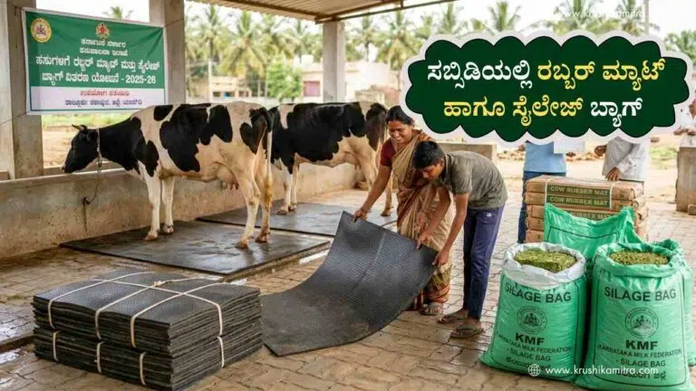 Cow Mat Subsidy-ಸಬ್ಸಿಡಿಯಲ್ಲಿ ರಬ್ಬರ್ ಮ್ಯಾಟ್ ಹಾಗೂ ಸೈಲೇಜ್ ಬ್ಯಾಗ್ ಪಡೆಯಲು ಅರ್ಜಿ ಆಹ್ವಾನ!