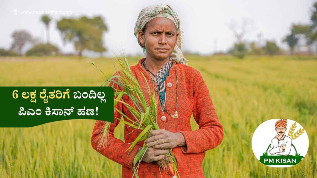 PM-Kisan Amount-ರಾಜ್ಯದಲ್ಲಿ 6 ಲಕ್ಷ ರೈತರಿಗೆ ಬಂದಿಲ್ಲ ಪಿಎಂ ಕಿಸಾನ್ ಹಣ!ತಪ್ಪದೇ ಈ ಮಾಹಿತಿ ತಿಳಿಯಿರಿ!