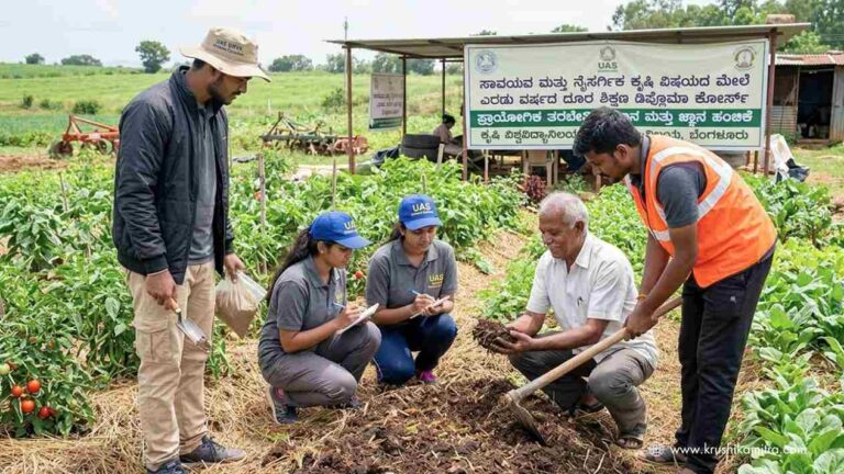 Diploma In Organic Farming-ಬೆಂಗಳೂರು ಕೃಷಿ ವಿವಿಯಿಂದ 2 ವರ್ಷದ ದೂರ ಶಿಕ್ಷಣ ಡಿಪ್ಲೊಮಾ ಕೋರ್ಸ್ ಗೆ ಅರ್ಜಿ ಆಹ್ವಾನ!